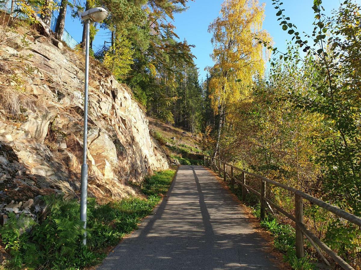 Lipno Nad Vltavou - Apartman 23 - Wifi, Parking, Netflix Exterior photo