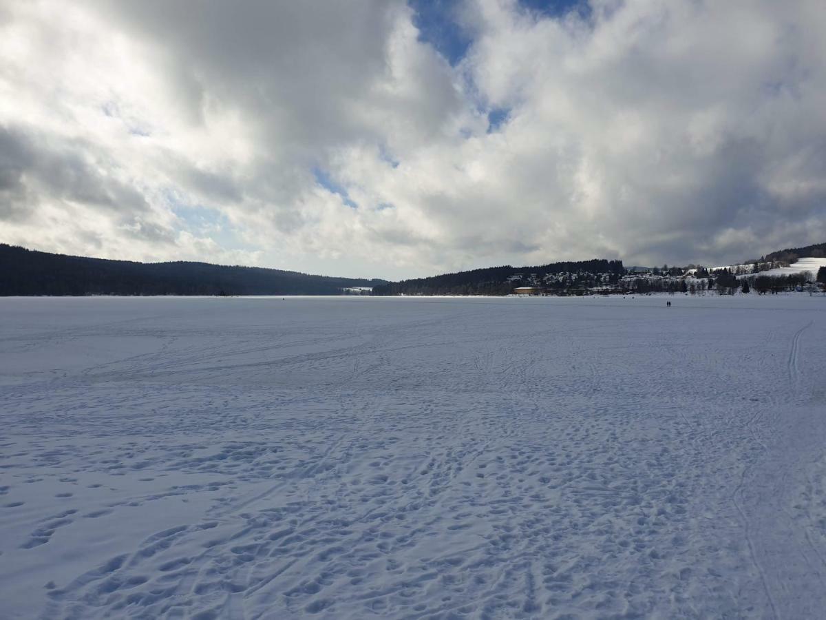 Lipno Nad Vltavou - Apartman 23 - Wifi, Parking, Netflix Exterior photo